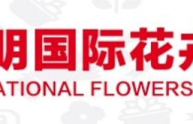 2022必看花展！IFEX昆明国际花卉园艺展，新展期11月11-13日，限时免费抢票！